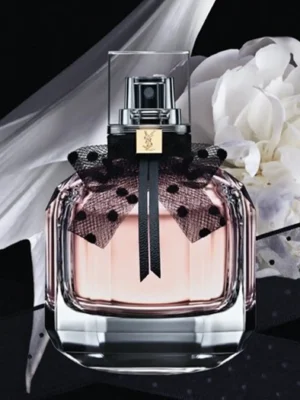 mon-paris-toilette-2